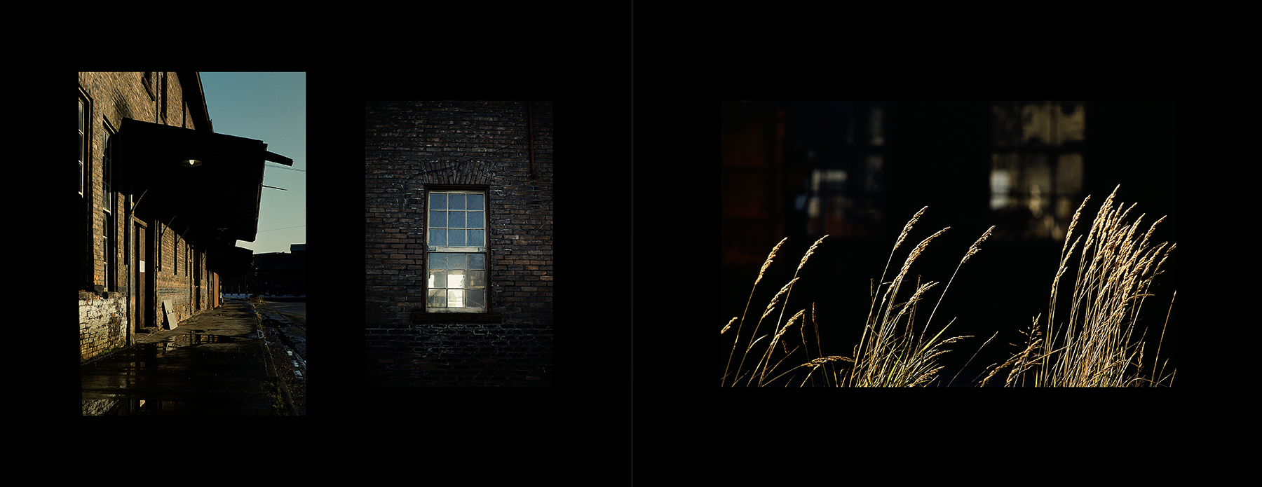 photos from Showers of Midnight Stardust [80]