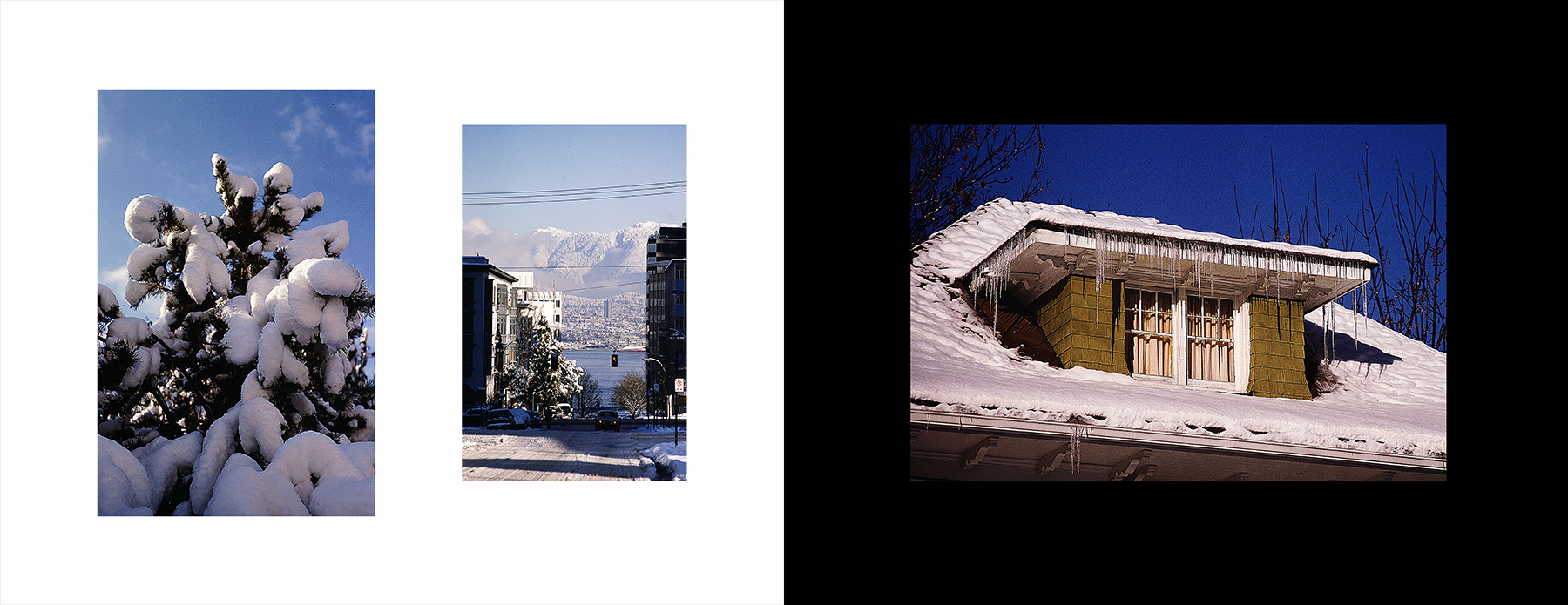 photos from Showers of Midnight Stardust [80]