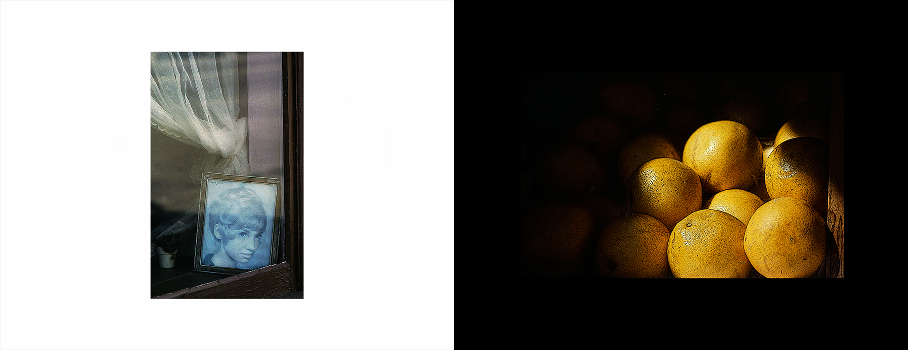 photos from Showers of Midnight Stardust [81]