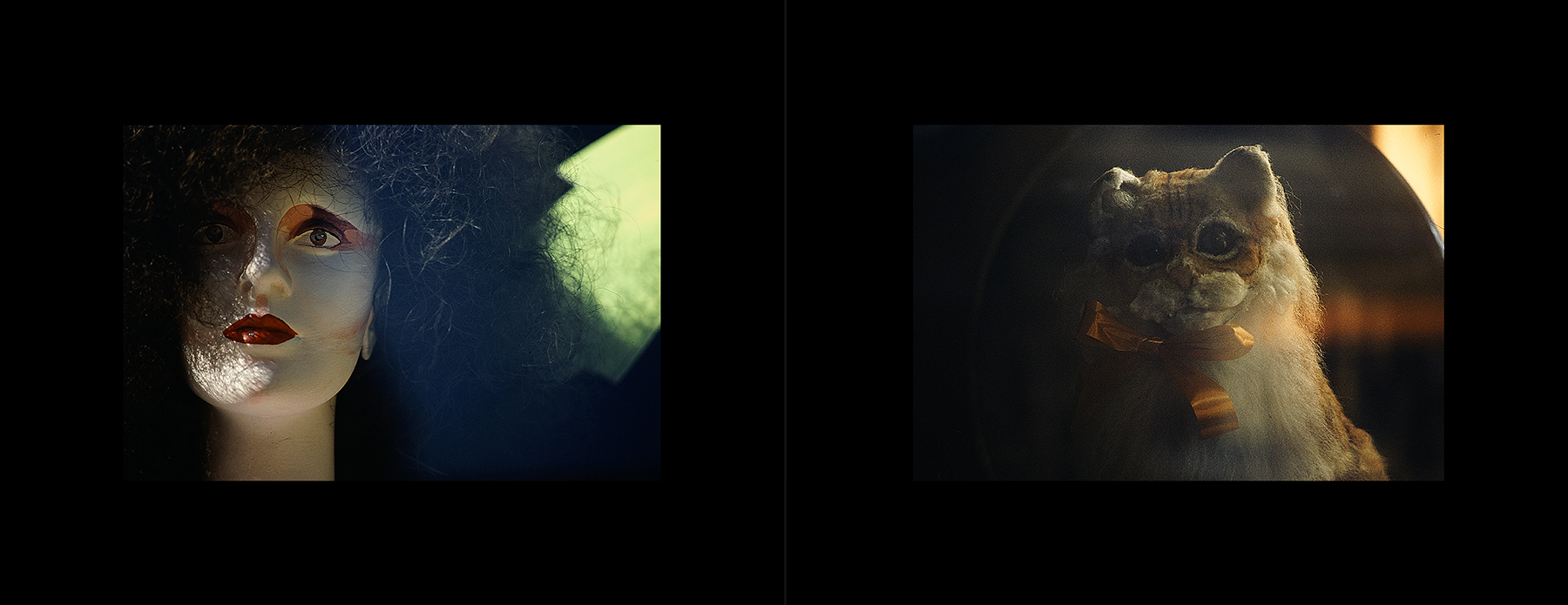 photos from Showers of Midnight Stardust [81]