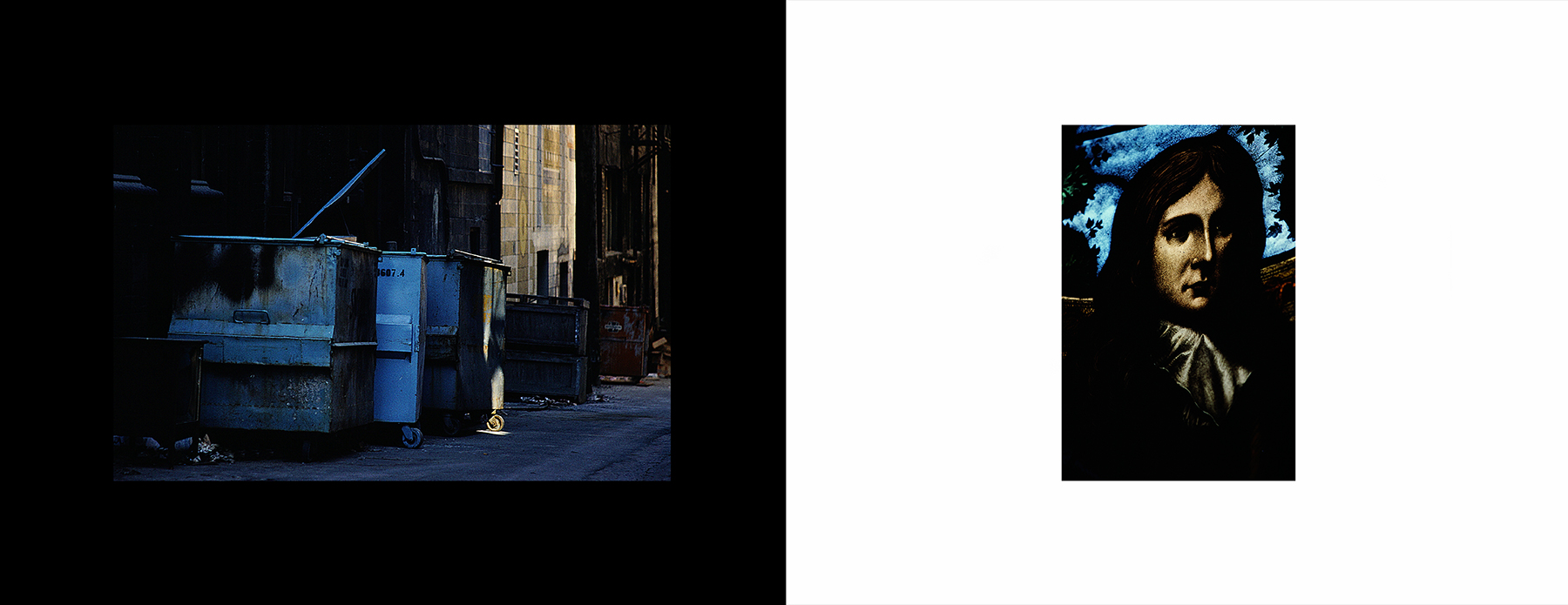 photos from Showers of Midnight Stardust [81]