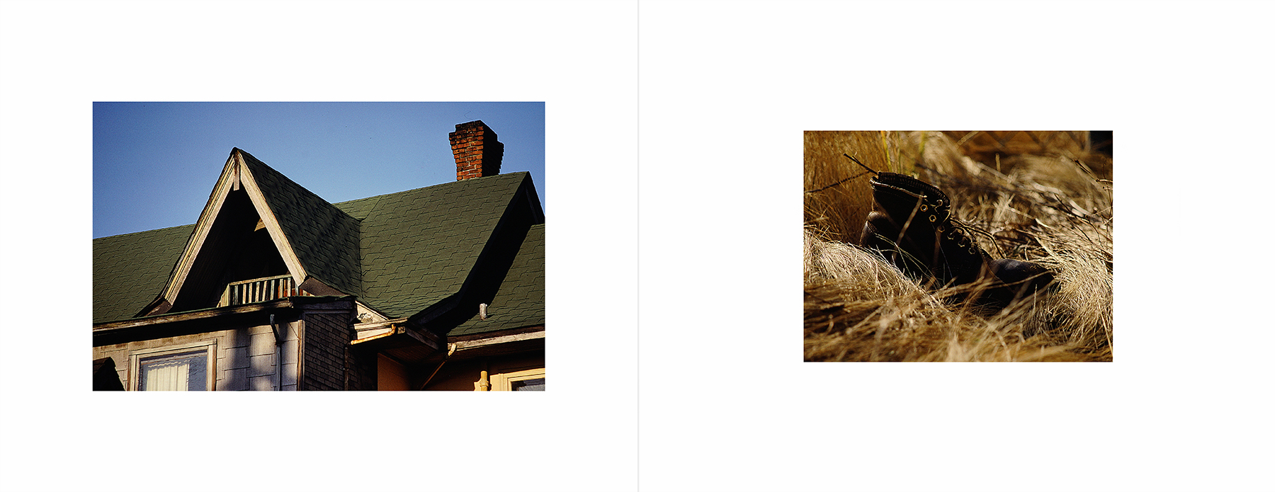 photos from Showers of Midnight Stardust [81]