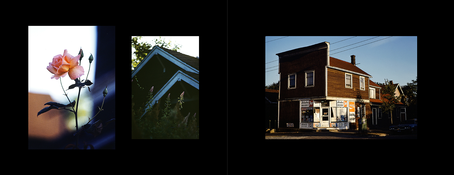 photos from Showers of Midnight Stardust [81]