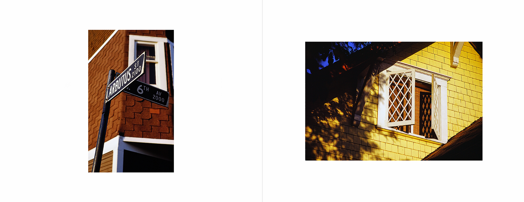 photos from Showers of Midnight Stardust [81]