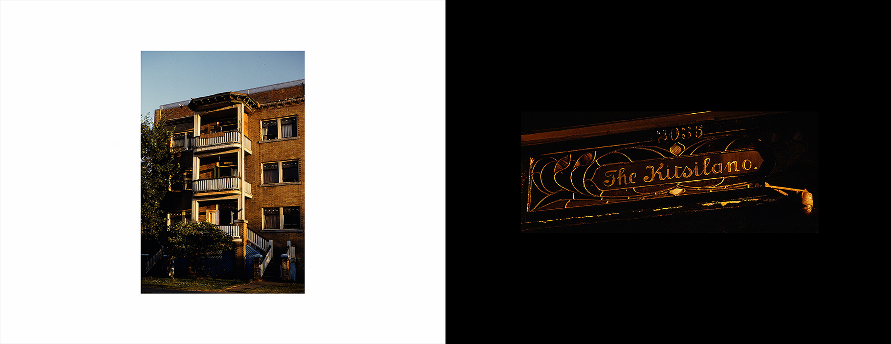 photos from Showers of Midnight Stardust [81]