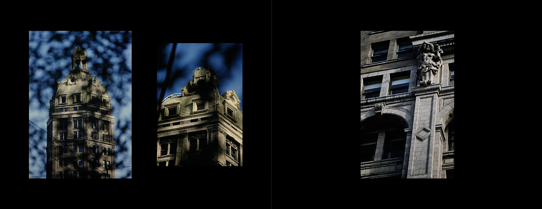 photos from Showers of Midnight Stardust [81]