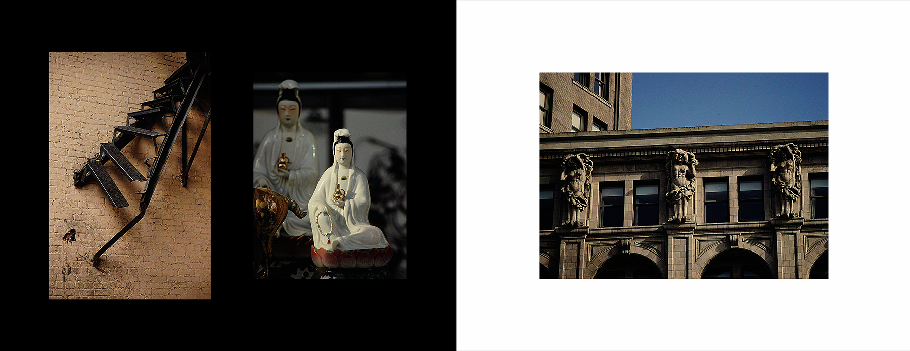 photos from Showers of Midnight Stardust [81]