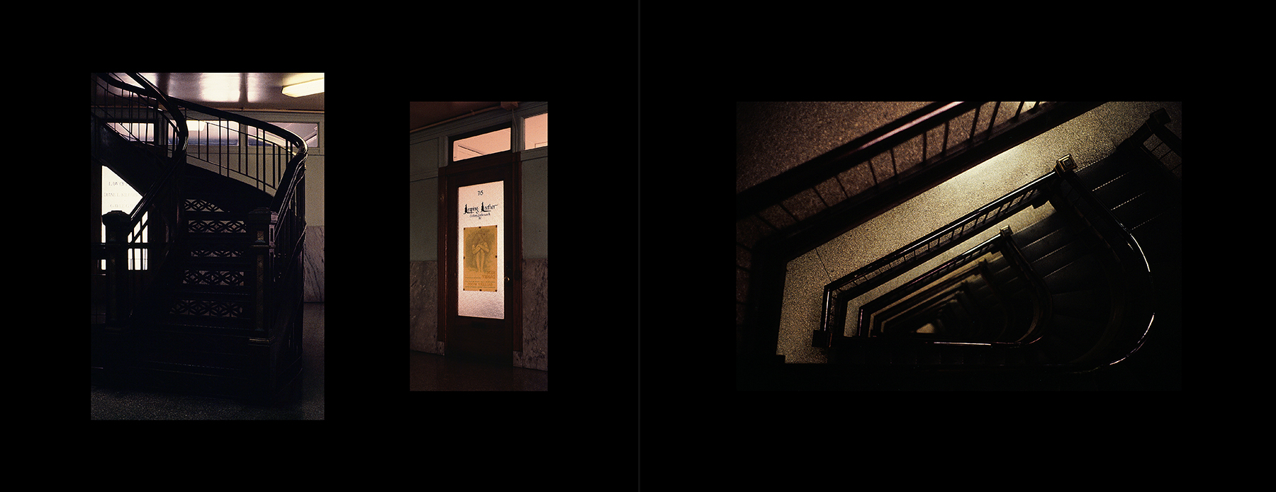 photos from Showers of Midnight Stardust [82]