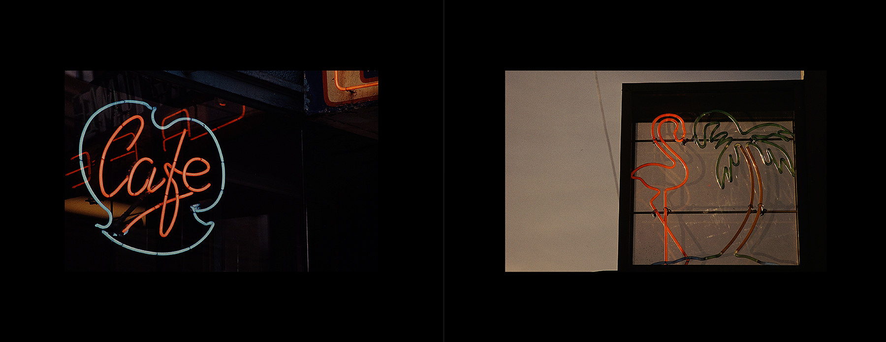 photos from Showers of Midnight Stardust [82]