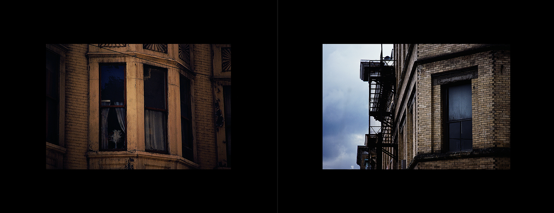 photos from Showers of Midnight Stardust [82]