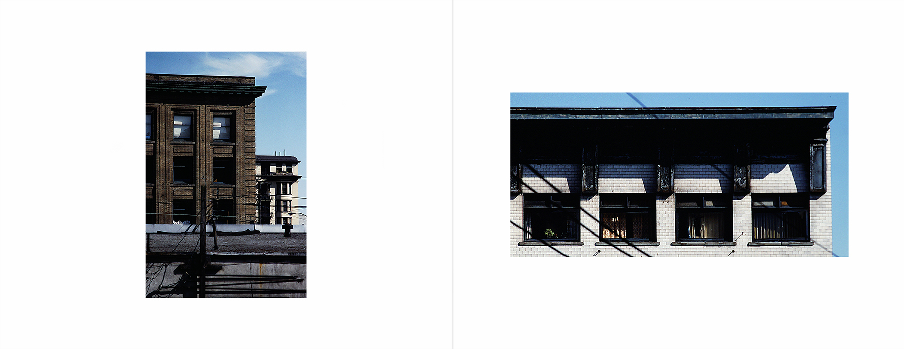 photos from Showers of Midnight Stardust [82]