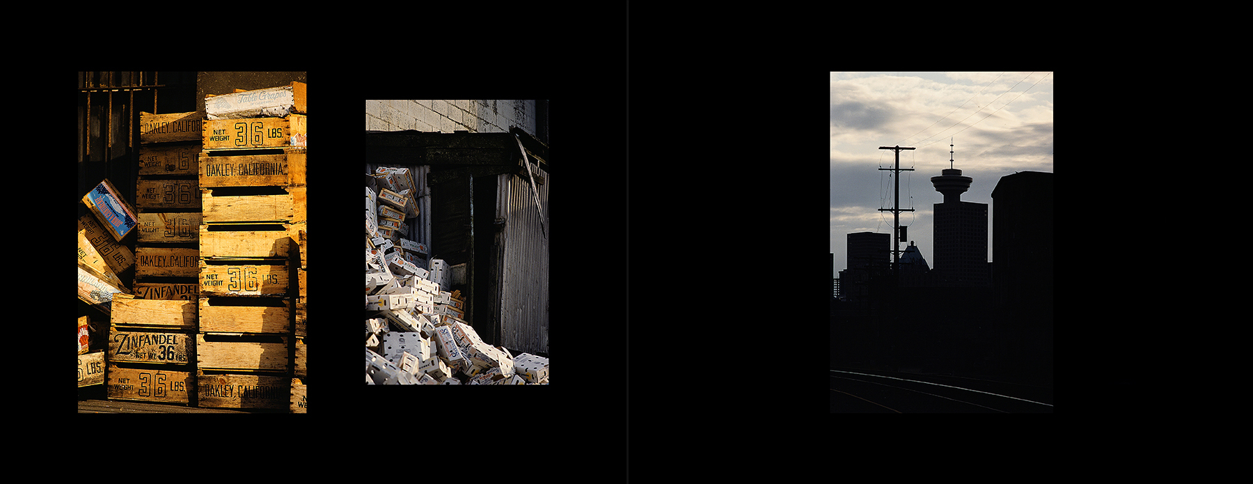 photos from Showers of Midnight Stardust [82]