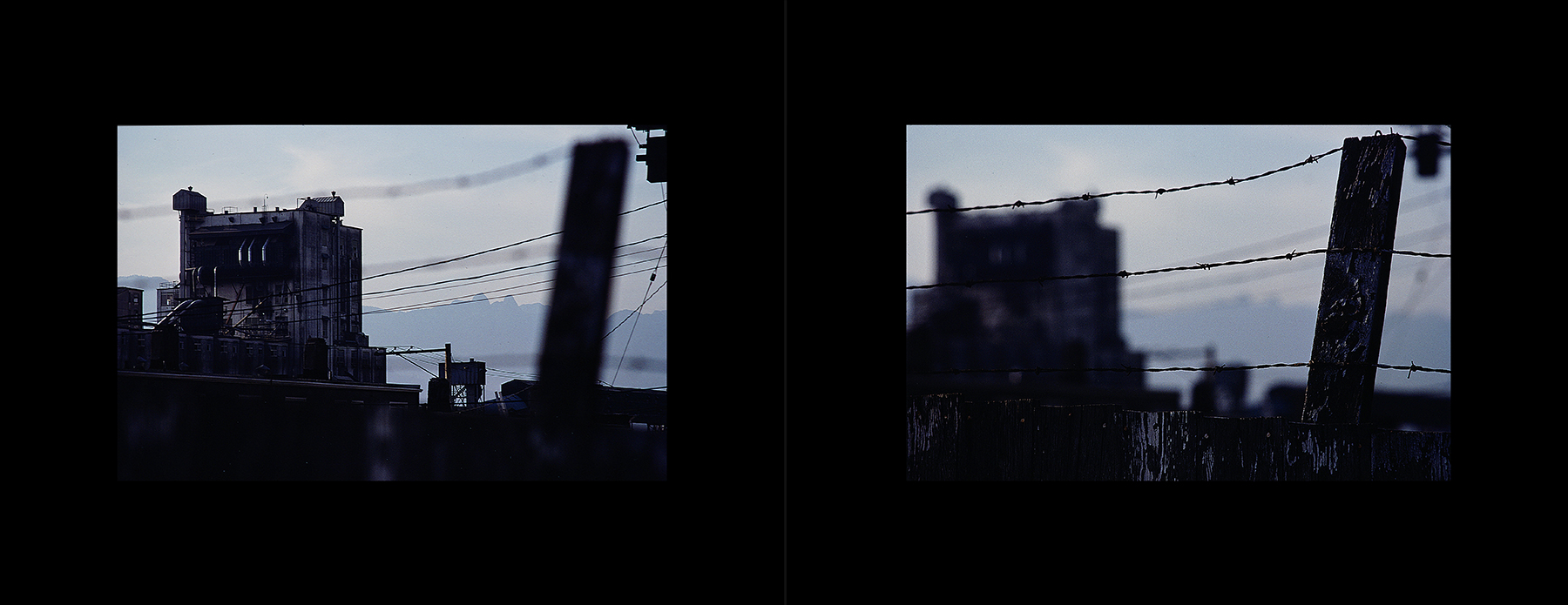 photos from Showers of Midnight Stardust [82]