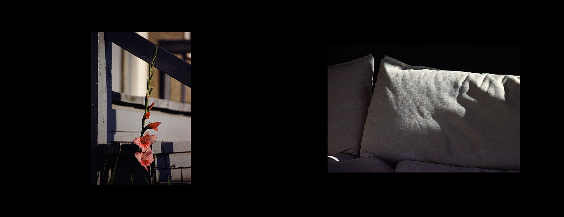 photos from Showers of Midnight Stardust [82]