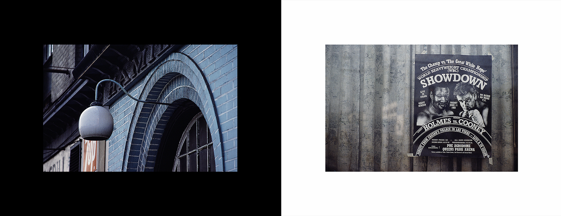 photos from Showers of Midnight Stardust [82]