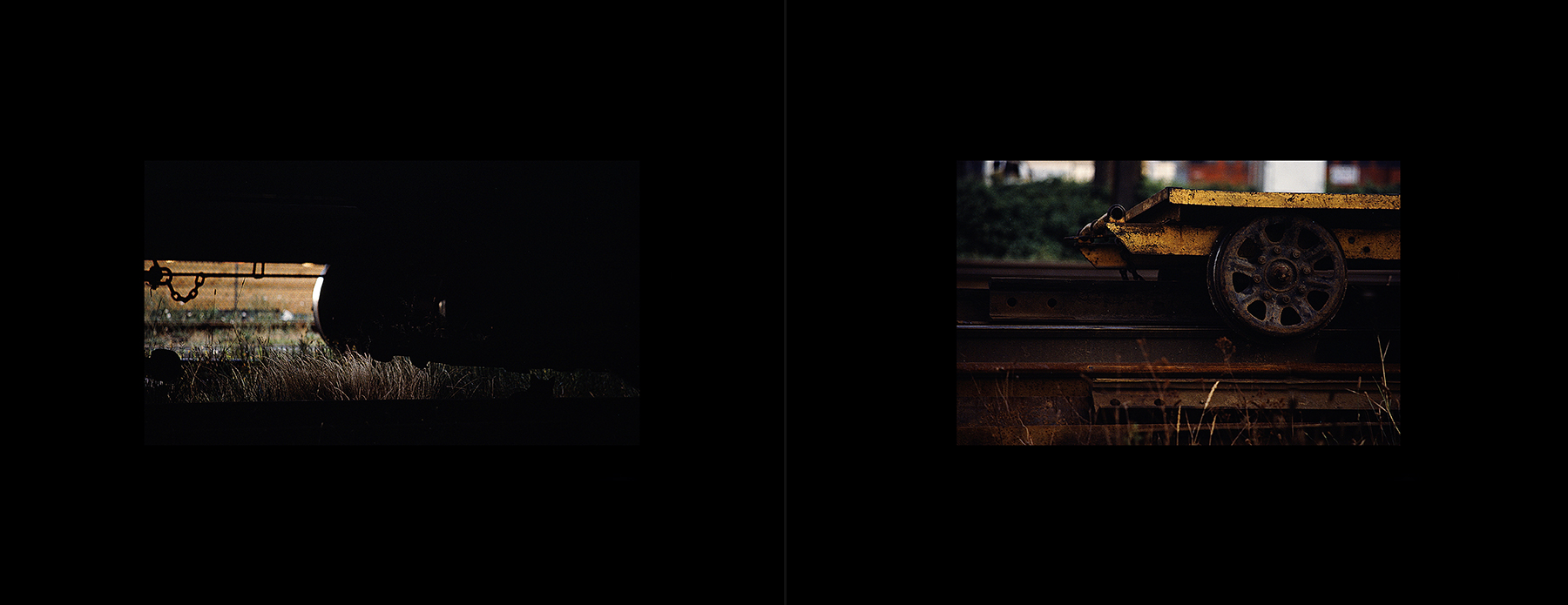 photos from Showers of Midnight Stardust [82]