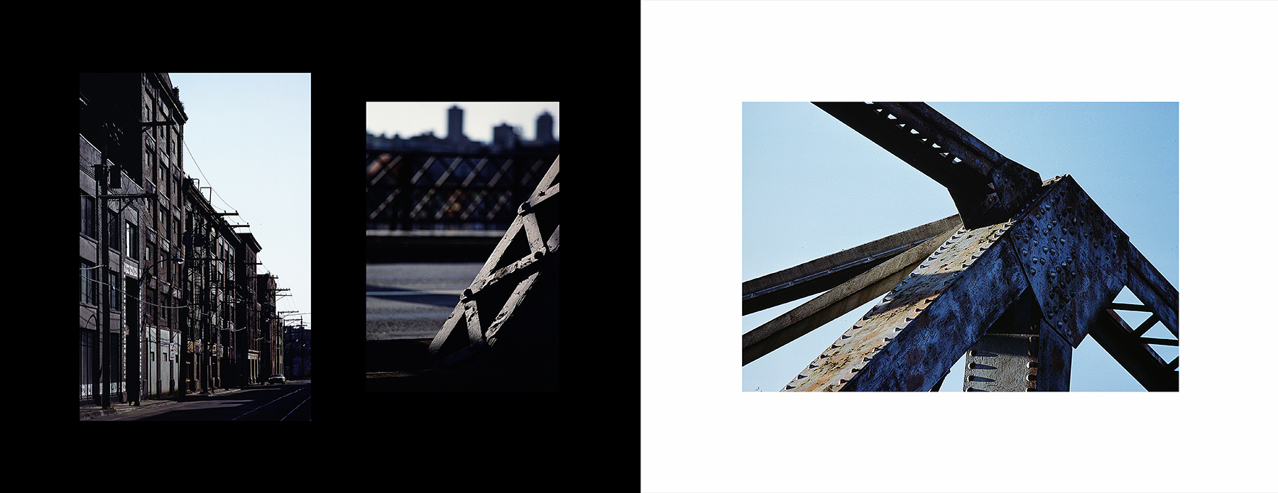 photos from Showers of Midnight Stardust [82]