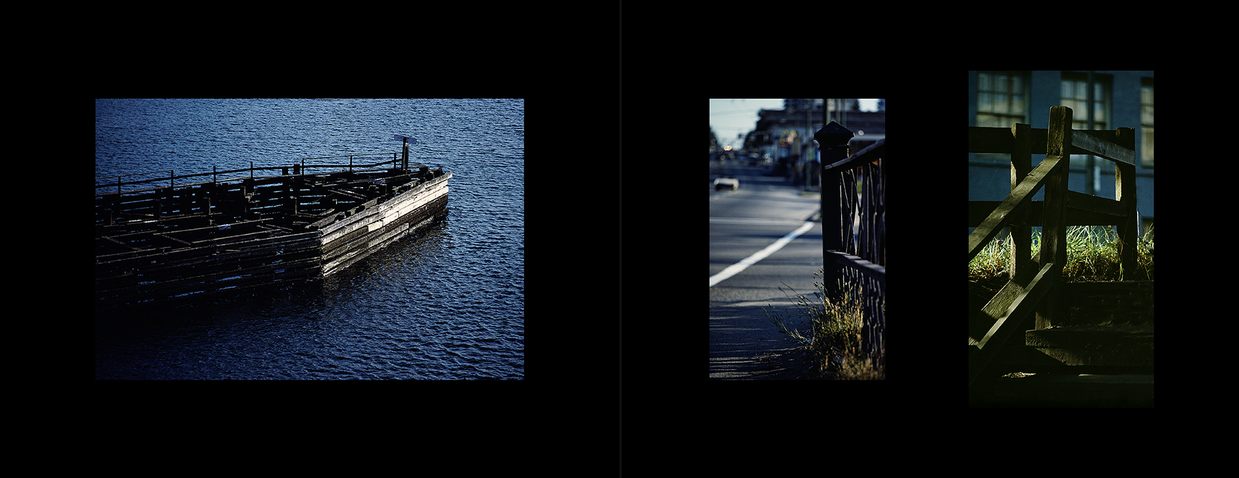 photos from Showers of Midnight Stardust [82]