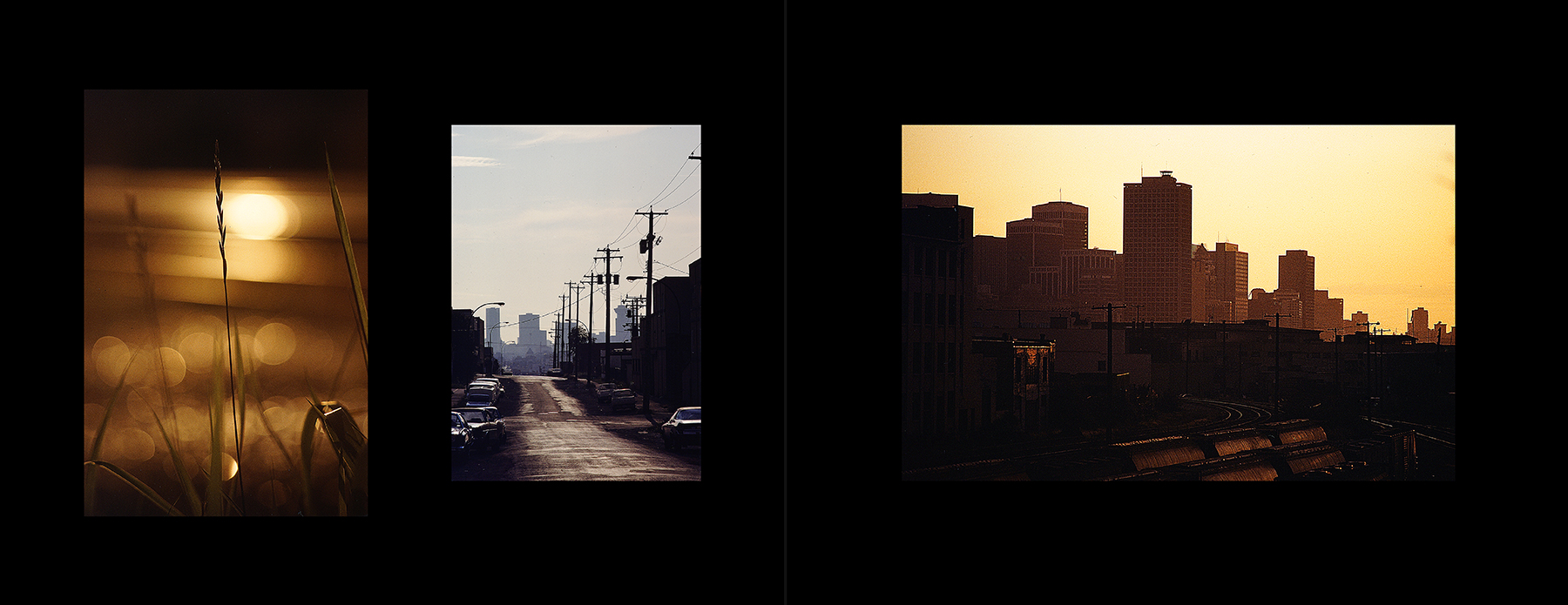 photos from Showers of Midnight Stardust [82]