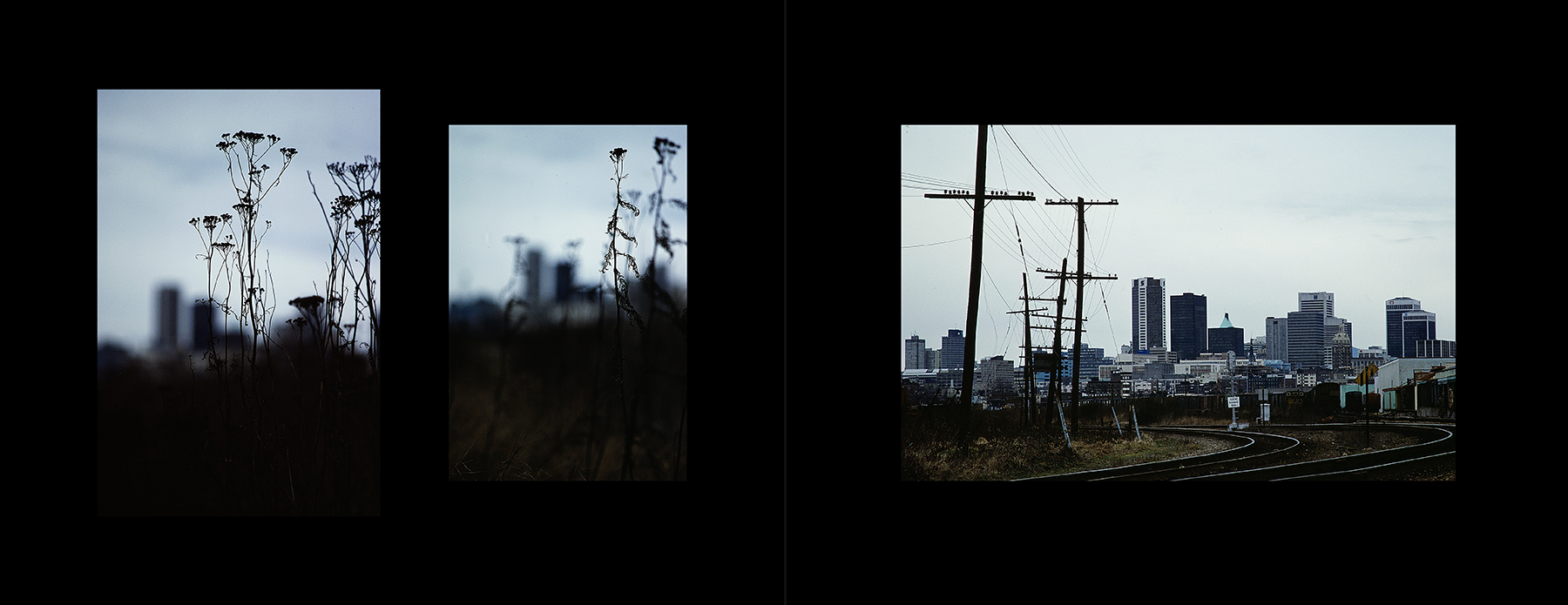 photos from Showers of Midnight Stardust [82]