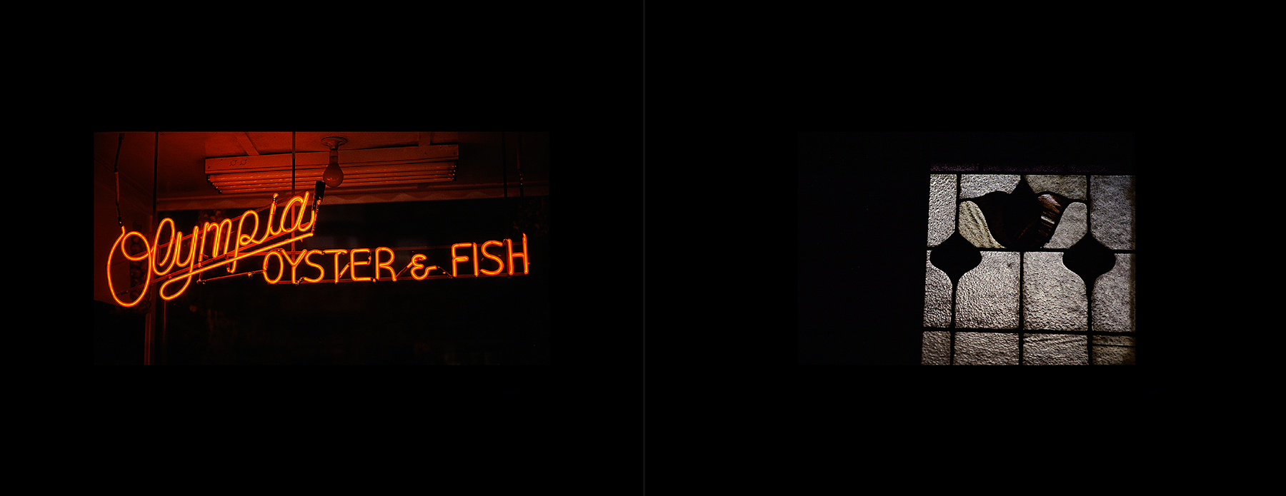 photos from Showers of Midnight Stardust [83]