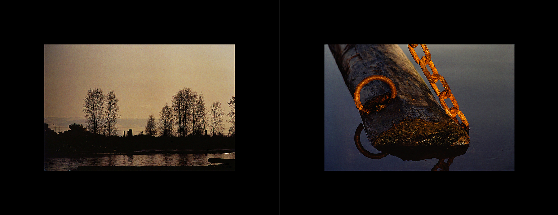 photos from Showers of Midnight Stardust [83]