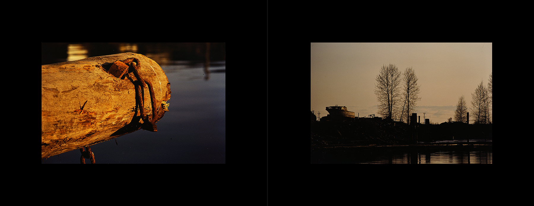 photos from Showers of Midnight Stardust [83]