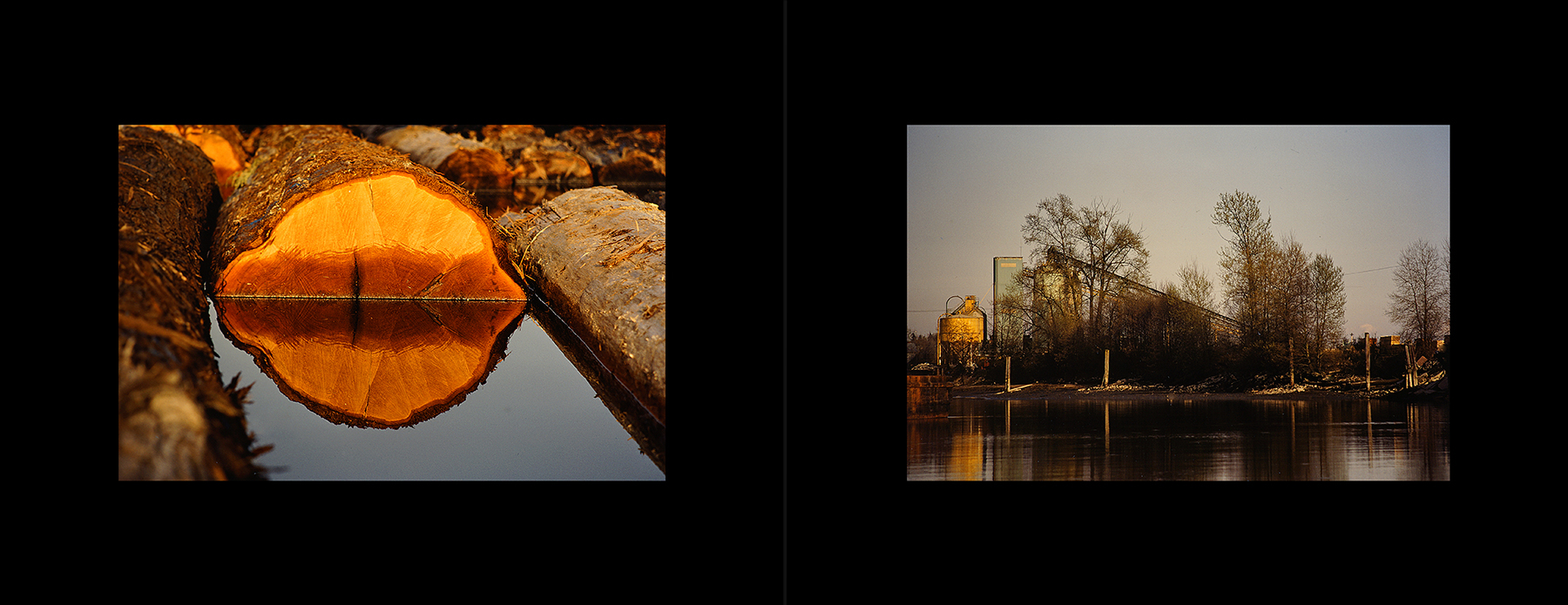 photos from Showers of Midnight Stardust [83]