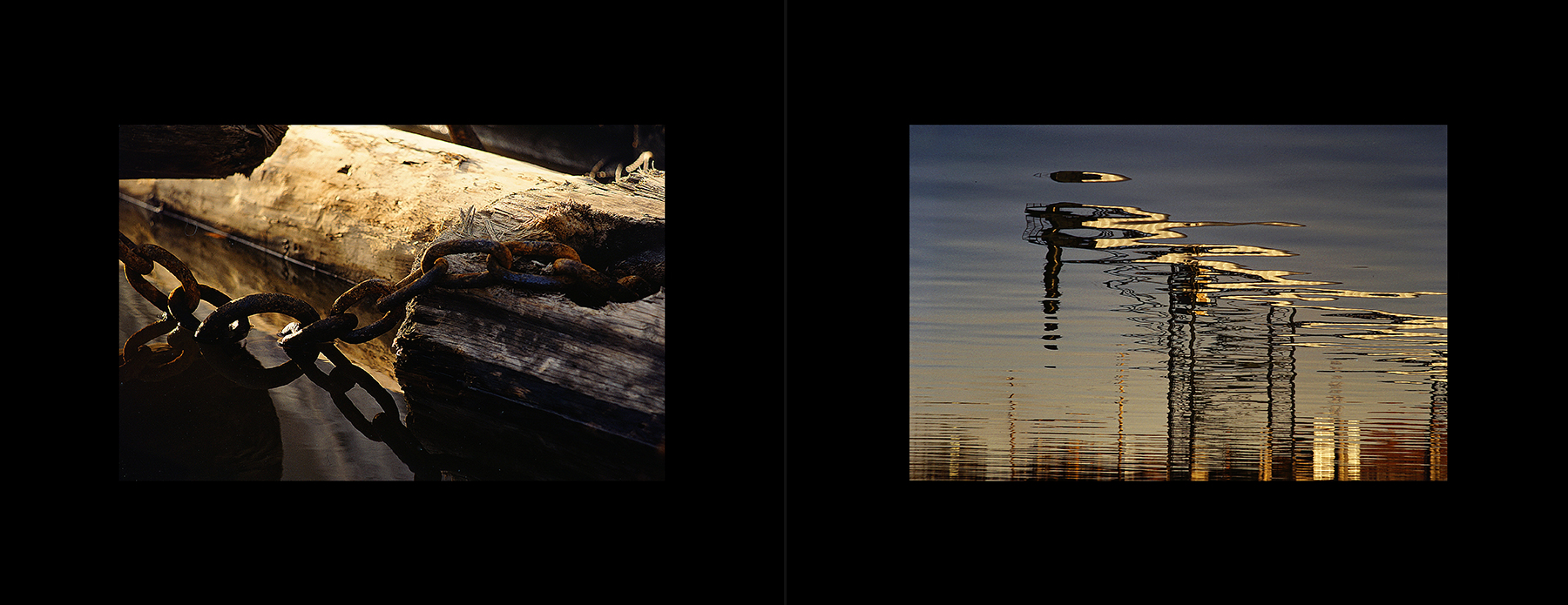 photos from Showers of Midnight Stardust [83]