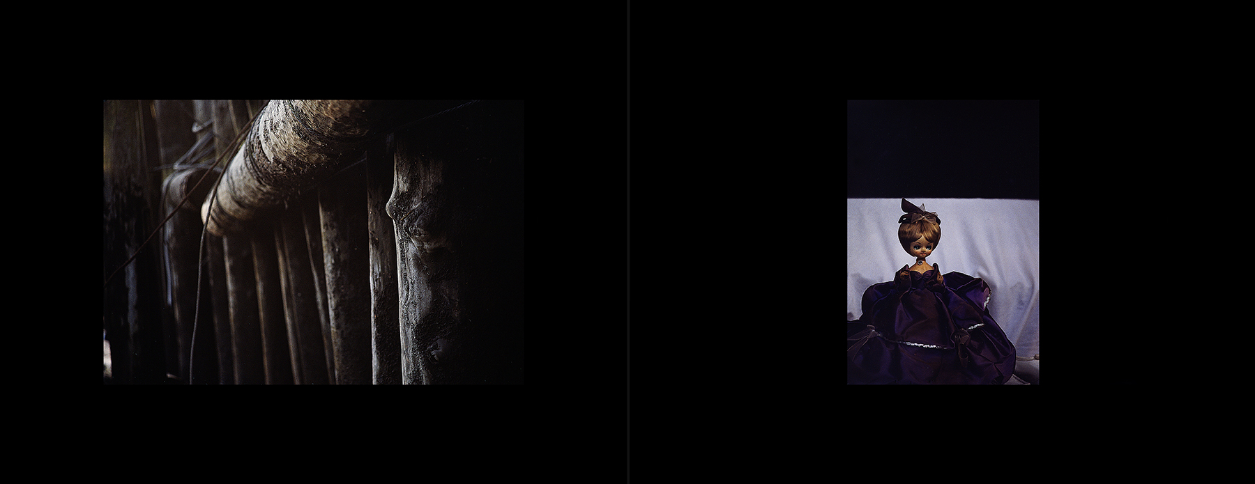 photos from Showers of Midnight Stardust [83]