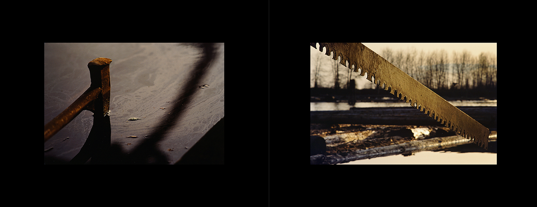 photos from Showers of Midnight Stardust [83]