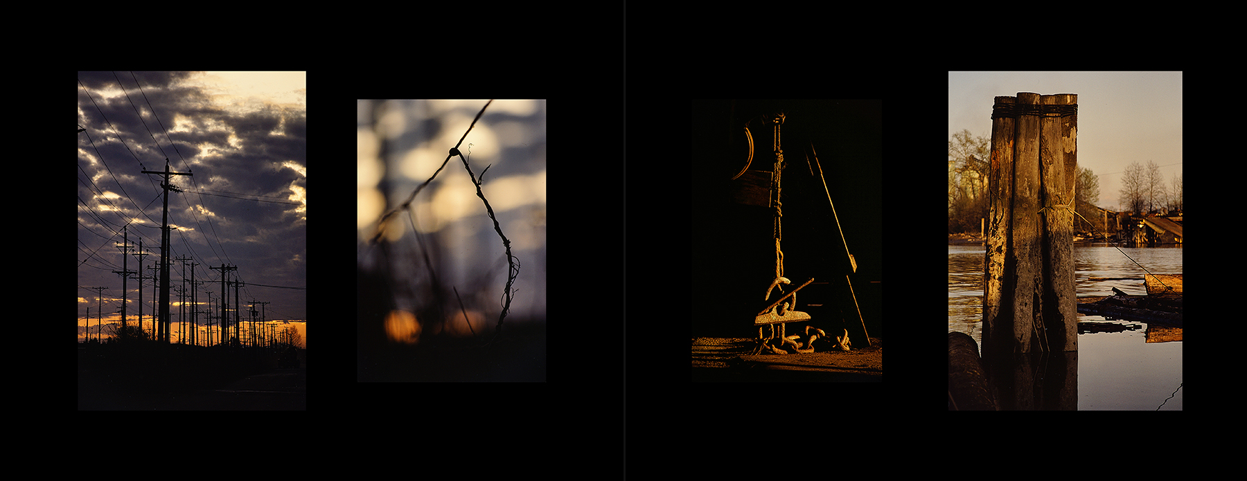 photos from Showers of Midnight Stardust [83]