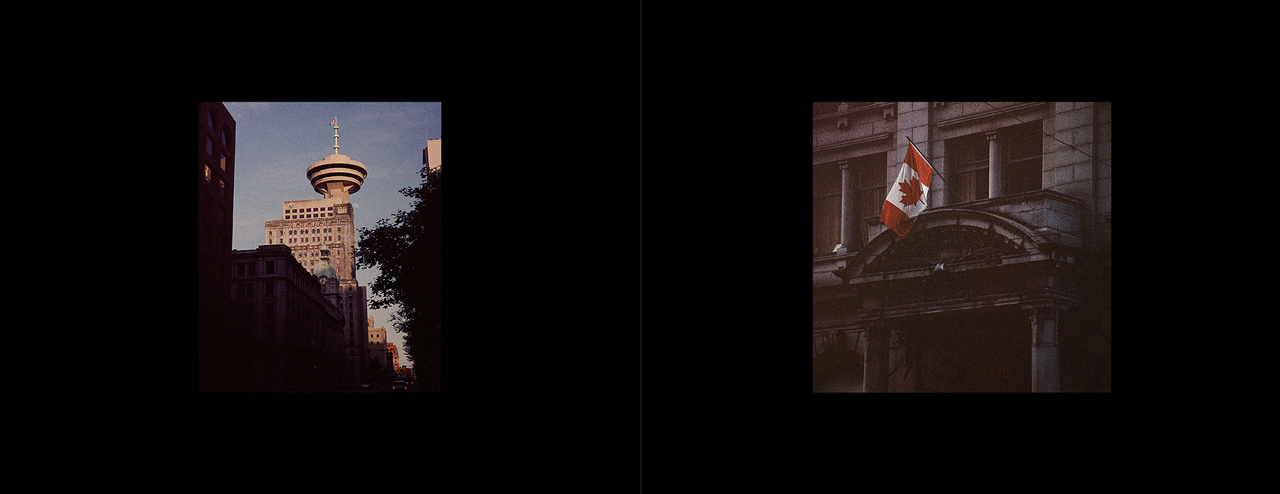 photos from Showers of Midnight Stardust [83]