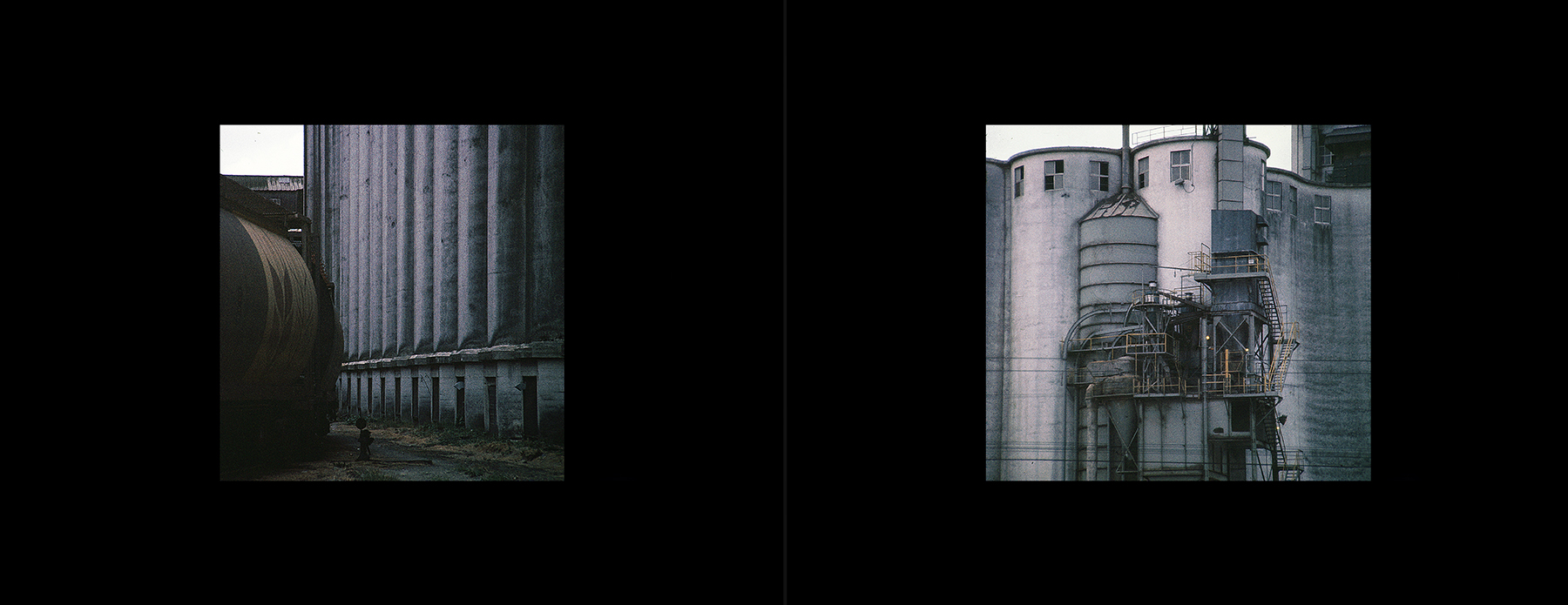 photos from Showers of Midnight Stardust [83]