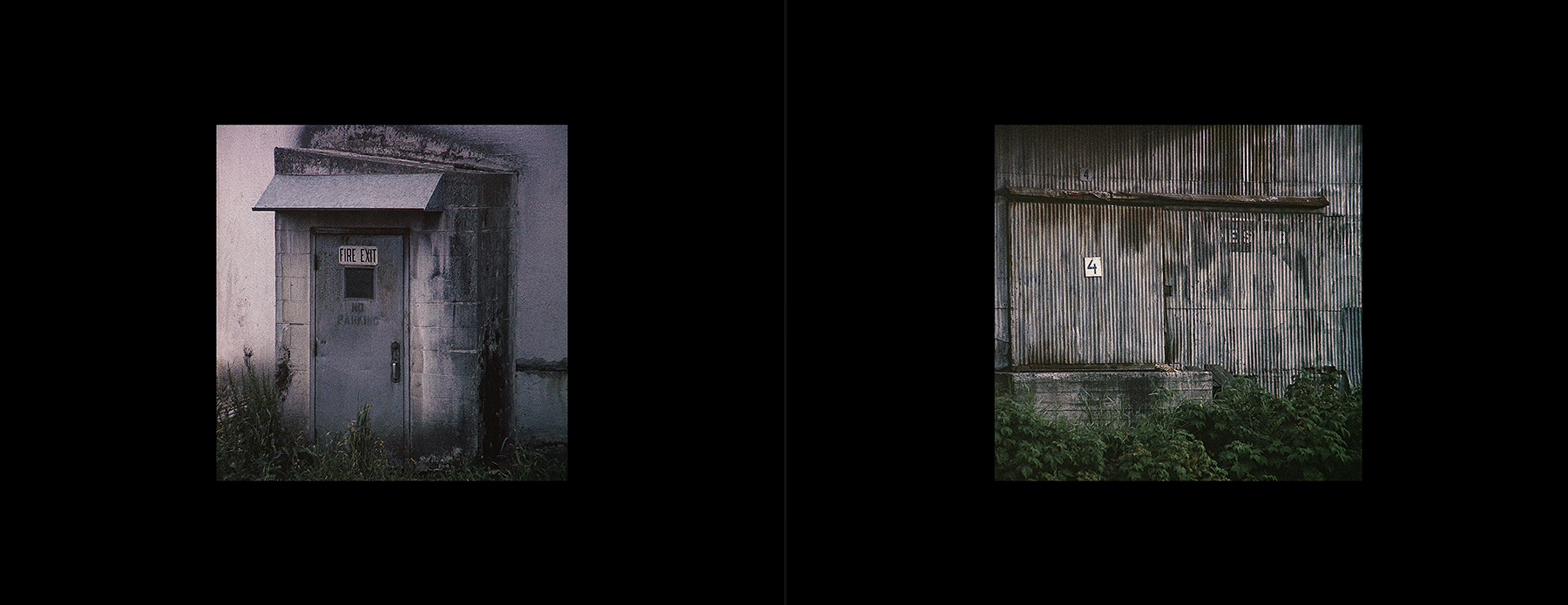 photos from Showers of Midnight Stardust [83]