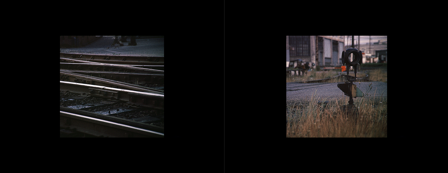 photos from Showers of Midnight Stardust [83]