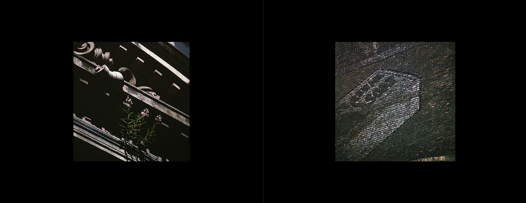 photos from Showers of Midnight Stardust [83]