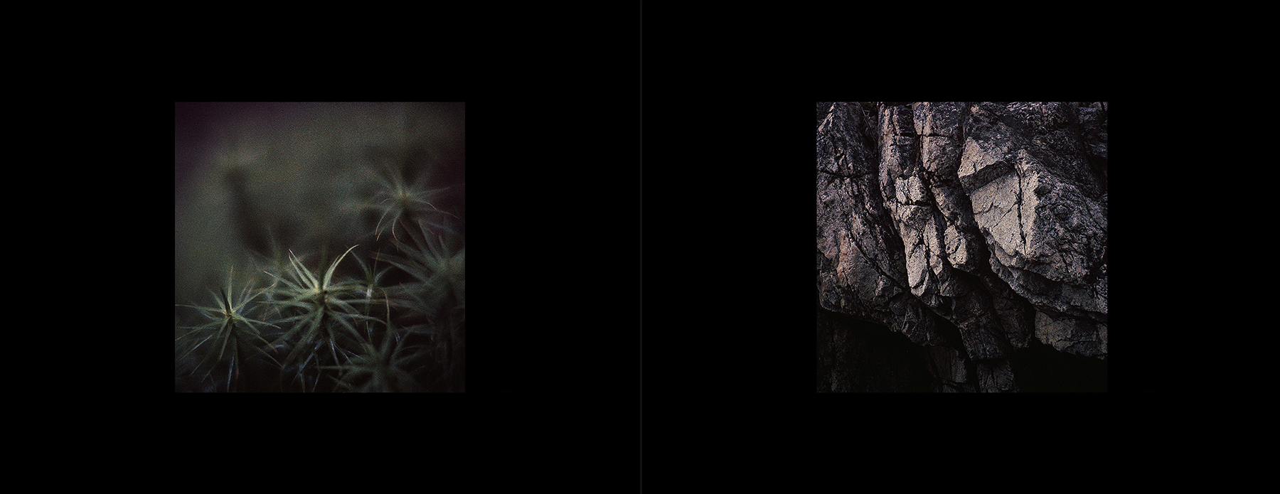 photos from Showers of Midnight Stardust [83]