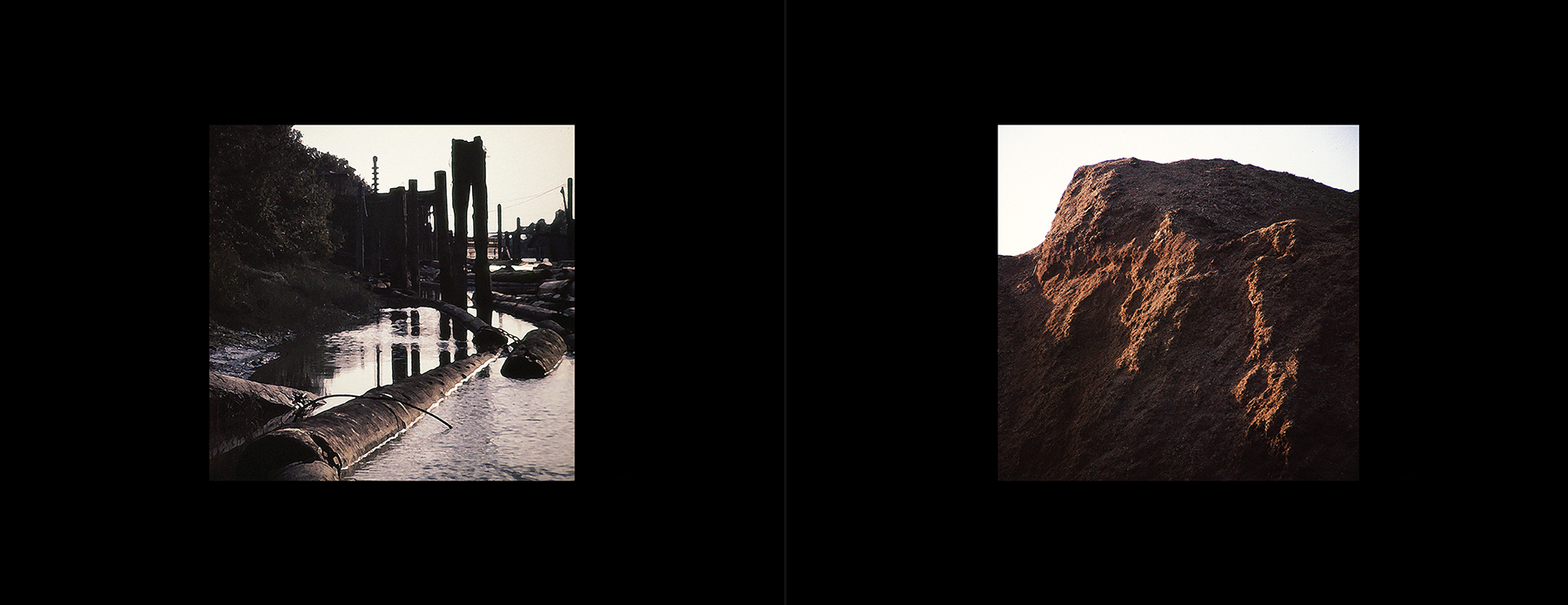 photos from Showers of Midnight Stardust [83]