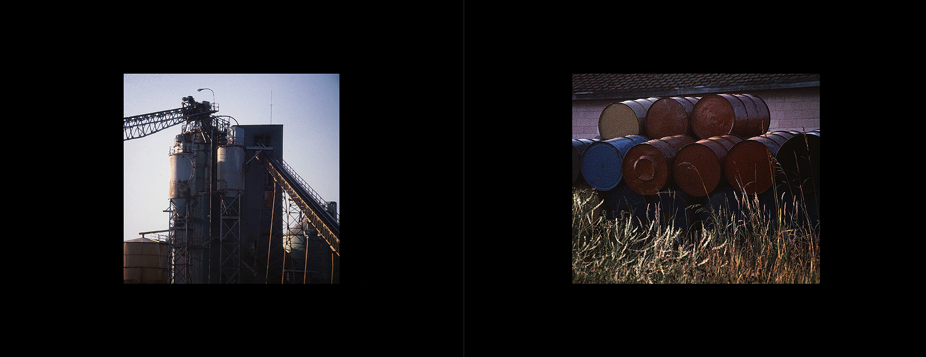 photos from Showers of Midnight Stardust [83]