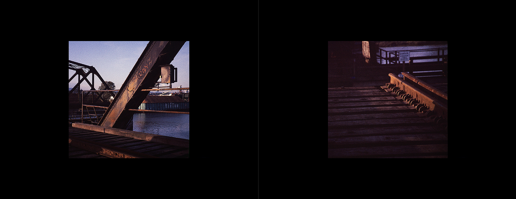 photos from Showers of Midnight Stardust [83]