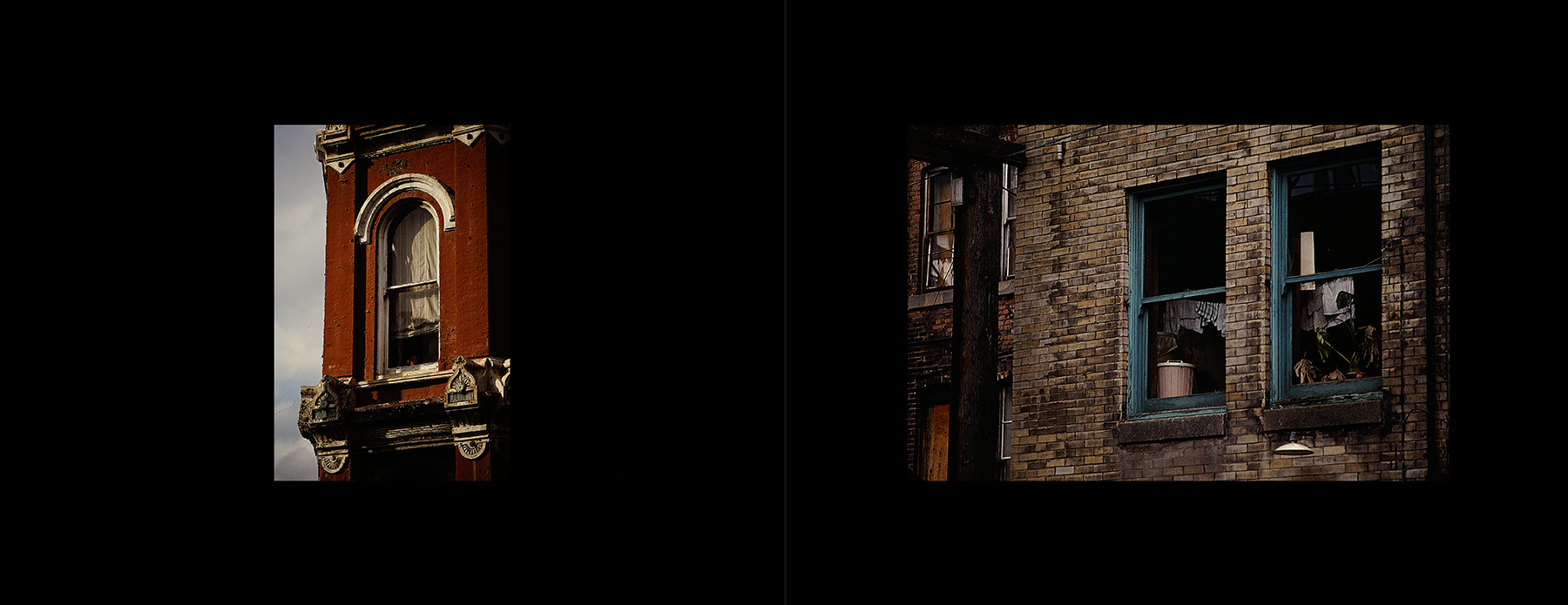 photos from Showers of Midnight Stardust [83]