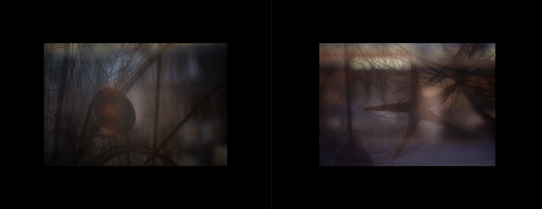 photos from Showers of Midnight Stardust [83]