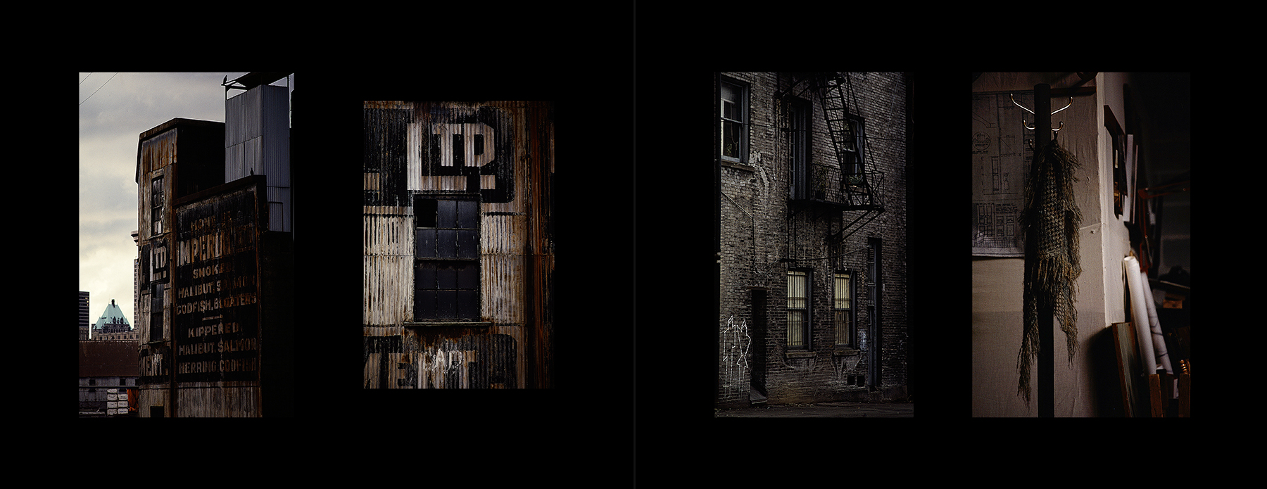 photos from Showers of Midnight Stardust [83]