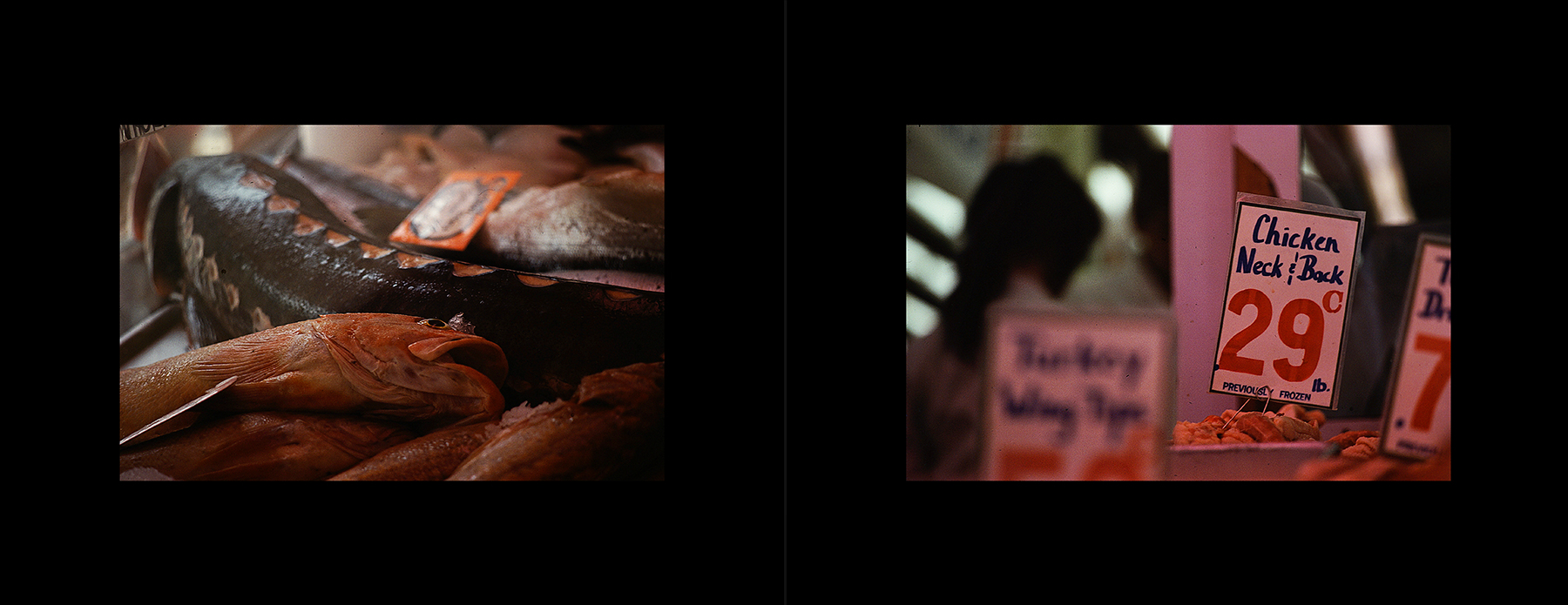 photos from Showers of Midnight Stardust [84]