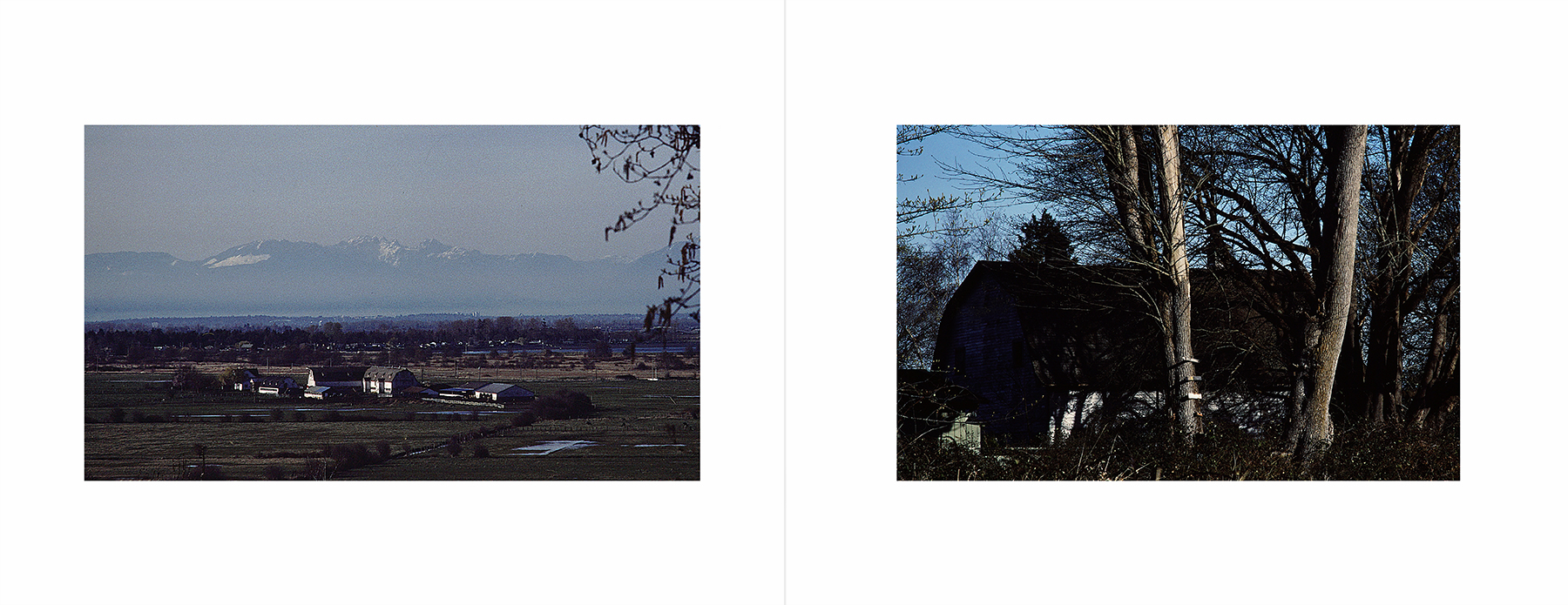 photos from Showers of Midnight Stardust [85]