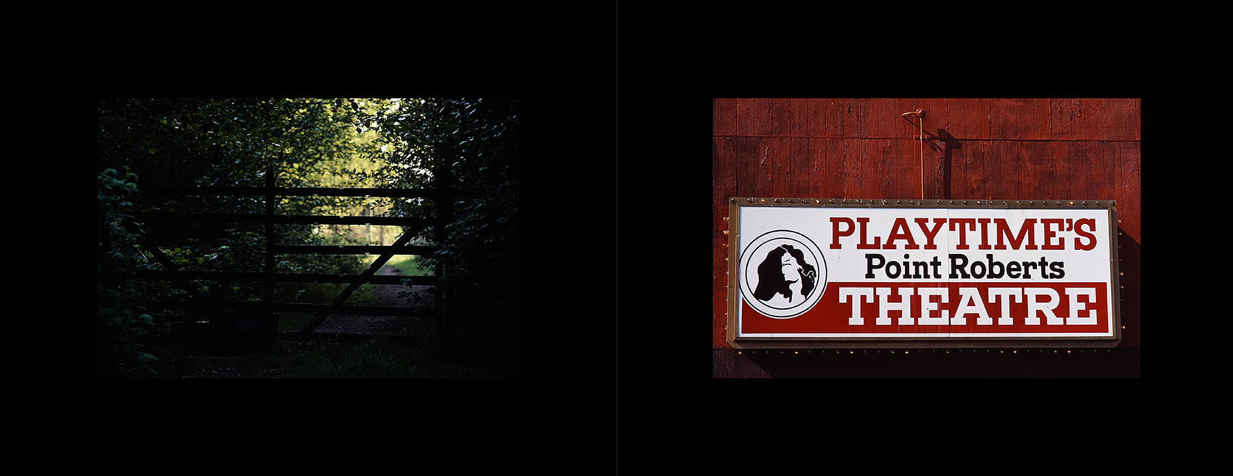 photos from Showers of Midnight Stardust [85]