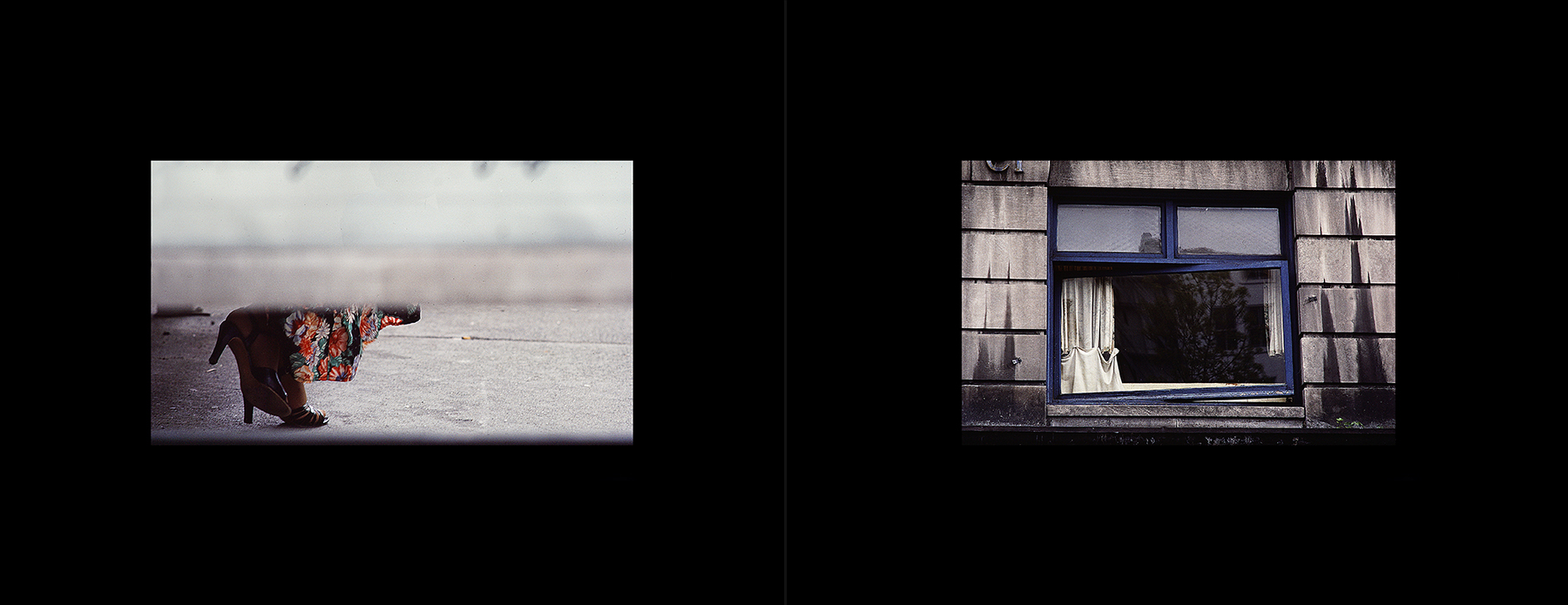 photos from Showers of Midnight Stardust [85]