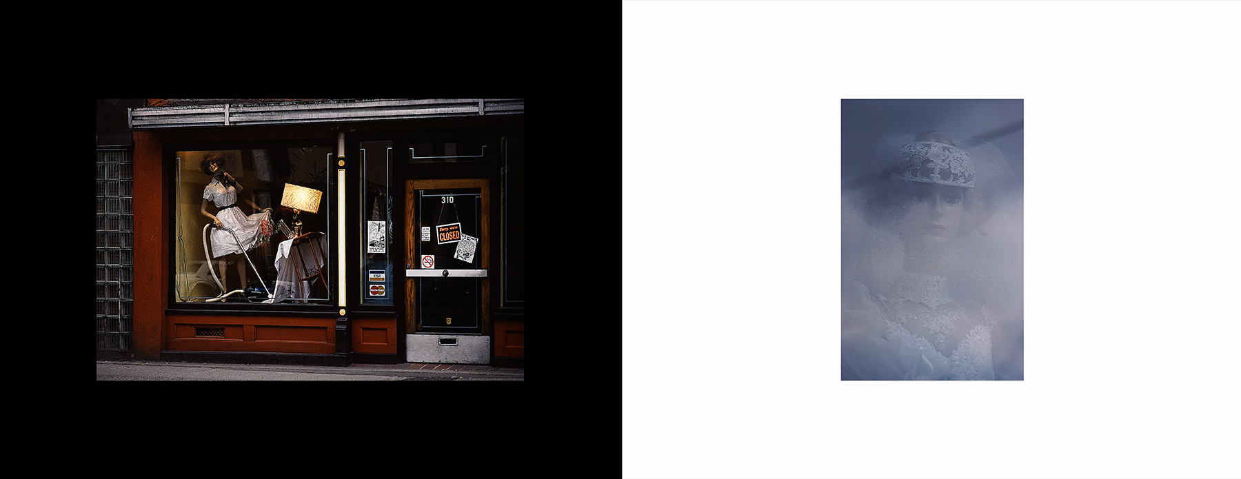 photos from Showers of Midnight Stardust [85]