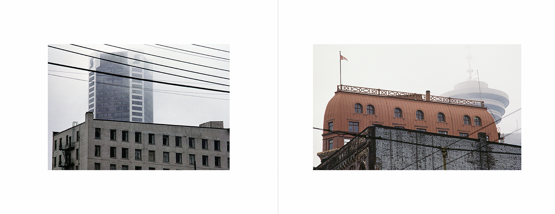 photos from Showers of Midnight Stardust [85]